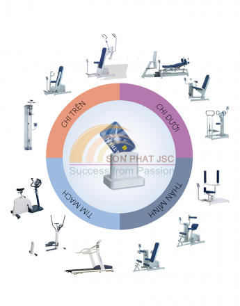 Hệ thống tập PHCN toàn thân